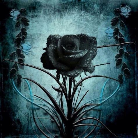 Black Magic Roses: Capturing the Beauty of Night in a Bouquet